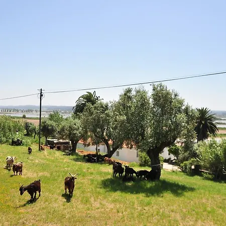 Termas Da Azenha بيت ضيافة Figueira da Azoia