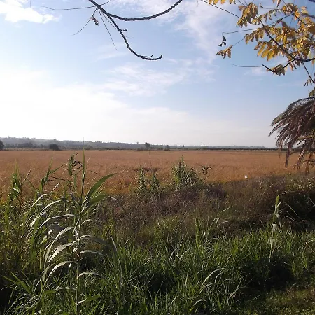 Termas Da Azenha بيت ضيافة Figueira da Azoia