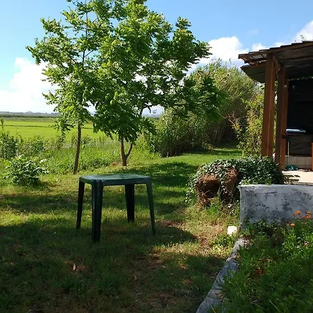 Termas Da Azenha Casa de hóspedes Figueira da Azoia